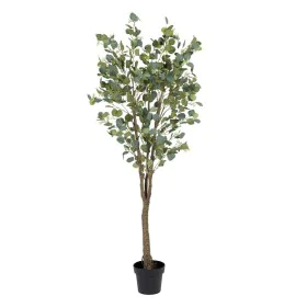 Decorative Plant 80 x 75 x 173 cm Green PVC Eucalyptus by BigBuy Home, Artificial Plants - Ref: S8801672, Price: 133,03 €, Di...