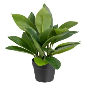 Plante décorative 50 x 45 x 48 cm Vert PVC de BigBuy Home, Plantes artificielles - Réf : S8801682, Prix : 35,79 €, Remise : %