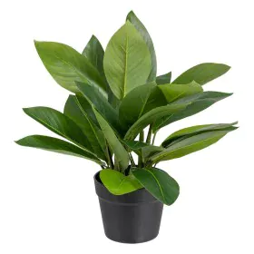 Planta Decorativa 50 x 45 x 48 cm Verde PVC de BigBuy Home, Plantas - Ref: S8801682, Preço: 35,79 €, Desconto: %