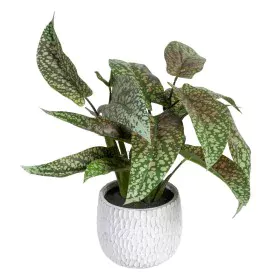 Decorative Plant Green PVC 52 x 44 x 44 cm by BigBuy Home, Artificial Plants - Ref: S8801683, Price: 32,59 €, Discount: %