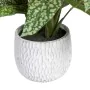 Plante décorative Vert PVC 52 x 44 x 44 cm de BigBuy Home, Plantes artificielles - Réf : S8801683, Prix : 32,59 €, Remise : %