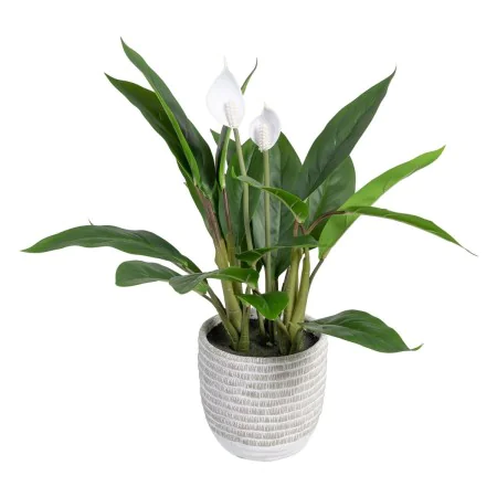 Planta Decorativa 40 x 41 x 48 cm Verde PVC de BigBuy Home, Plantas - Ref: S8801684, Preço: 37,16 €, Desconto: %