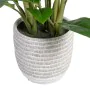 Plante décorative 40 x 41 x 48 cm Vert PVC de BigBuy Home, Plantes artificielles - Réf : S8801684, Prix : 37,16 €, Remise : %