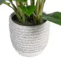 Planta Decorativa 40 x 41 x 48 cm Verde PVC de BigBuy Home, Plantas - Ref: S8801684, Precio: 37,16 €, Descuento: %