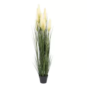 Planta Decorativa 57 x 53 x 150 cm Verde Crema PVC de BigBuy Home, Plantas - Ref: S8801693, Precio: 77,95 €, Descuento: %