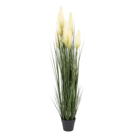 Plante décorative 57 x 53 x 150 cm Vert Crème PVC de BigBuy Home, Plantes artificielles - Réf : S8801693, Prix : 77,95 €, Rem...