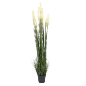 Plante décorative 44 x 48 x 200 cm Vert Crème PVC de BigBuy Home, Plantes artificielles - Réf : S8801694, Prix : 126,23 €, Re...