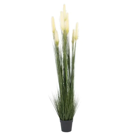 Planta Decorativa 44 x 48 x 200 cm Verde Crema PVC de BigBuy Home, Plantas - Ref: S8801694, Precio: 126,23 €, Descuento: %