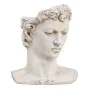 Escultura David 28 x 22 x 33 cm Resina de BigBuy Home, Esculturas - Ref: S8801774, Precio: 55,03 €, Descuento: %