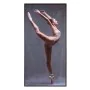 Painting 70 x 3,5 x 140 cm Canvas Ballerina by BigBuy Home, Paintings - Ref: S8801793, Price: 76,82 €, Discount: %