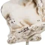 Bust 27 x 18 x 60 cm Resin Greek Goddess by BigBuy Home, Sculptures - Ref: S8801857, Price: 88,94 €, Discount: %