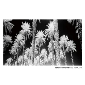 Canvas Palms 120 x 4 x 70 cm Palm tree by BigBuy Home, Prints on Canvas - Ref: S8803209, Price: 115,11 €, Discount: %