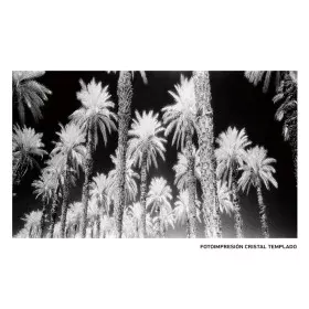 Canvas Palms 120 x 4 x 70 cm Palm tree by BigBuy Home, Prints on Canvas - Ref: S8803209, Price: 120,17 €, Discount: %