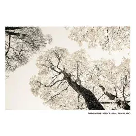 Canvas Trees 120 x 4 x 80 cm by BigBuy Home, Prints on Canvas - Ref: S8803245, Price: 109,53 €, Discount: %