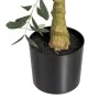 Plante décorative Polyester Polyéthylène Olivier 56 x 48 x 78 cm de BigBuy Home, Plantes artificielles - Réf : S8803343, Prix...