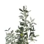 Planta Decorativa Poliéster Polietileno Olivo 55 x 60 x 112 cm de BigBuy Home, Plantas - Ref: S8803344, Precio: 62,21 €, Desc...