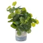 Plante décorative Ciment PEVA Volets 11,5 x 11,5 x 39 cm de BigBuy Home, Plantes artificielles - Réf : S8804246, Prix : 15,50...