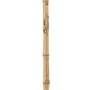 Branch Bamboo 7 x 7 x 190 cm by BigBuy Home, Artificial Mixed Floral Arrangements - Ref: S8804256, Price: 25,12 €, Discount: %