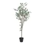 Plante décorative Polyéthylène Eucalyptus 80 x 82 x 180 cm de BigBuy Home, Plantes artificielles - Réf : S8804264, Prix : 80,...