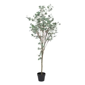 Plante décorative Polyéthylène Eucalyptus 80 x 82 x 180 cm de BigBuy Home, Plantes artificielles - Réf : S8804264, Prix : 80,...