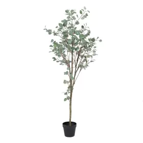 Planta Decorativa Polietileno Eucalipto 80 x 82 x 180 cm de BigBuy Home, Plantas - Ref: S8804264, Preço: 80,71 €, Desconto: %