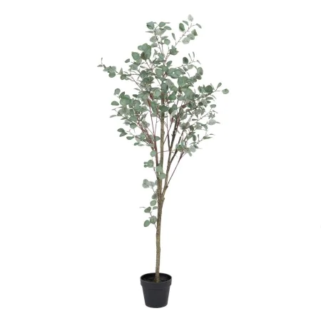 Planta Decorativa Polietileno Eucalipto 80 x 82 x 180 cm de BigBuy Home, Plantas - Ref: S8804264, Preço: 80,71 €, Desconto: %