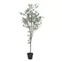 Planta Decorativa Polietileno Eucalipto 80 x 82 x 180 cm de BigBuy Home, Plantas - Ref: S8804264, Precio: 80,71 €, Descuento: %