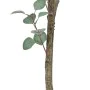 Decorative Plant Polyethylene Eucalyptus 80 x 82 x 180 cm by BigBuy Home, Artificial Plants - Ref: S8804264, Price: 80,71 €, ...