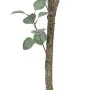 Planta Decorativa Polietileno Eucalipto 80 x 82 x 180 cm de BigBuy Home, Plantas - Ref: S8804264, Precio: 80,71 €, Descuento: %