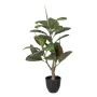 Decorative Plant Polyethylene Iron PEVA Oak 76 cm by BigBuy Home, Artificial Plants - Ref: S8804285, Price: 66,53 €, Discount: %