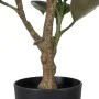 Decorative Plant Polyethylene Iron PEVA Oak 76 cm by BigBuy Home, Artificial Plants - Ref: S8804285, Price: 66,53 €, Discount: %