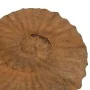 Sculpture Beige Mango wood 49,5 x 9 x 53,5 cm Snail by BigBuy Home, Sculptures - Ref: S8804759, Price: 60,43 €, Discount: %