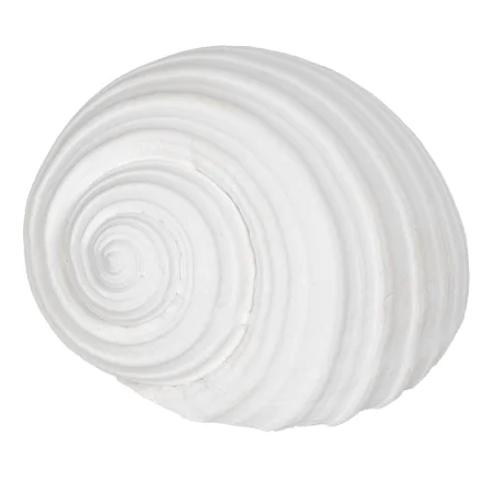 Figura Decorativa Blanco Caracola 11 x 9 x 8 cm de BigBuy Home, Adornos - Ref: S8805378, Precio: 6,29 €, Descuento: %