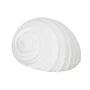 Figura Decorativa Blanco Caracola 11 x 9 x 8 cm de BigBuy Home, Adornos - Ref: S8805378, Precio: 6,29 €, Descuento: %