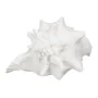 Figura Decorativa Branco Concha 21 x 19 x 13 cm de BigBuy Home, Adornos - Ref: S8805381, Preço: 17,53 €, Desconto: %