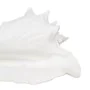 Figura Decorativa Branco Concha 21 x 19 x 13 cm de BigBuy Home, Adornos - Ref: S8805381, Preço: 17,53 €, Desconto: %