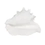 Figura Decorativa Branco Concha 21 x 19 x 13 cm de BigBuy Home, Adornos - Ref: S8805381, Preço: 17,53 €, Desconto: %