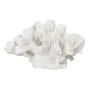 Figurine Décorative Blanc Corail 19 x 14 x 11 cm de BigBuy Home, Objets de décoration - Réf : S8805382, Prix : 18,86 €, Remis...