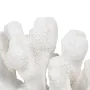 Figurine Décorative Blanc Corail 19 x 14 x 11 cm de BigBuy Home, Objets de décoration - Réf : S8805382, Prix : 18,86 €, Remis...