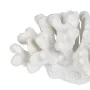 Figurine Décorative Blanc Corail 19 x 14 x 11 cm de BigBuy Home, Objets de décoration - Réf : S8805382, Prix : 18,86 €, Remis...