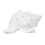 Figura Decorativa Blanco Caracola 21 x 14 x 12 cm de BigBuy Home, Adornos - Ref: S8805469, Precio: 13,99 €, Descuento: %