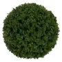 Decorative Plant Green PVC 20 x 20 cm by BigBuy Home, Artificial Shrubs & Topiaries - Ref: S8805478, Price: 12,89 €, Discount: %