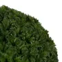 Decorative Plant Green PVC 20 x 20 cm by BigBuy Home, Artificial Shrubs & Topiaries - Ref: S8805478, Price: 12,89 €, Discount: %