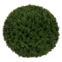 Decorative Plant Green PVC 24 x 24 cm by BigBuy Home, Artificial Shrubs & Topiaries - Ref: S8805479, Price: 22,01 €, Discount: %