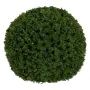 Decorative Plant Green PVC 30 x 30 cm by BigBuy Home, Artificial Shrubs & Topiaries - Ref: S8805480, Price: 32,37 €, Discount: %