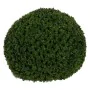 Decorative Plant Green PVC 38 x 38 cm by BigBuy Home, Artificial Shrubs & Topiaries - Ref: S8805481, Price: 63,42 €, Discount: %