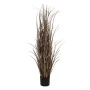 Plante décorative PVC Acier Ciment 152 cm 16 x 16 x 15 cm de BigBuy Home, Plantes artificielles - Réf : S8805499, Prix : 52,0...