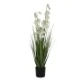 Plante décorative PVC Ciment Tissu 91 cm de BigBuy Home, Plantes artificielles - Réf : S8805502, Prix : 37,68 €, Remise : %