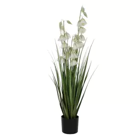 Pianta Decorativa PVC Cemento Tessuto 91 cm di BigBuy Home, Piante artificiali - Rif: S8805502, Prezzo: 36,17 €, Sconto: %