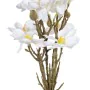 Branche Blanc Vert 37 x 20 x 41 cm Magnolia de BigBuy Home, Fleurs artificielles - Réf : S8805884, Prix : 10,15 €, Remise : %